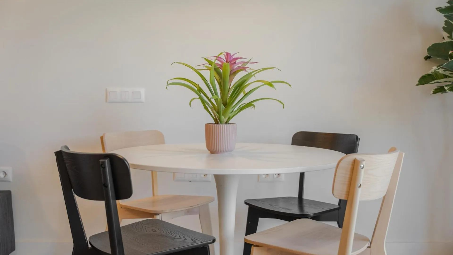 Apartment Loft The Pa By Paramount Holidays Costa Adeje